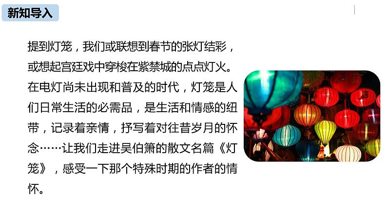 语文八（下）第1单元 4《灯笼》第1课时第4页
