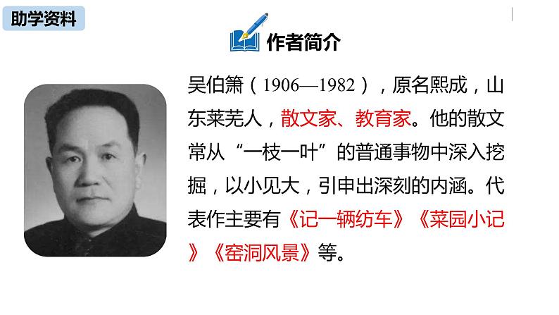 语文八（下）第1单元 4《灯笼》第1课时第5页