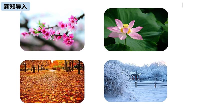 部编版八年级语文下册 第2单元 5《大自然的语言》(PPT课件+素材）04