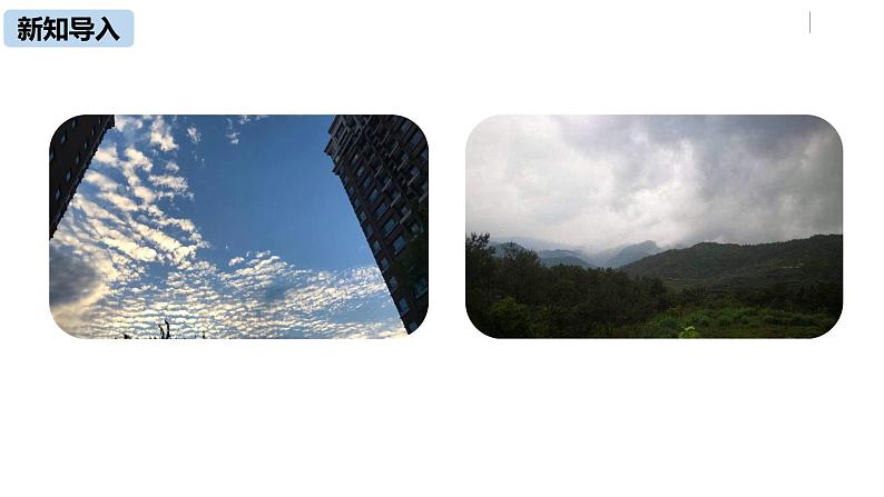 部编版八年级语文下册 第2单元 5《大自然的语言》(PPT课件+素材）05