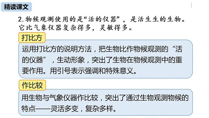 部编版八年级语文下册 第2单元 5《大自然的语言》(PPT课件+素材）06