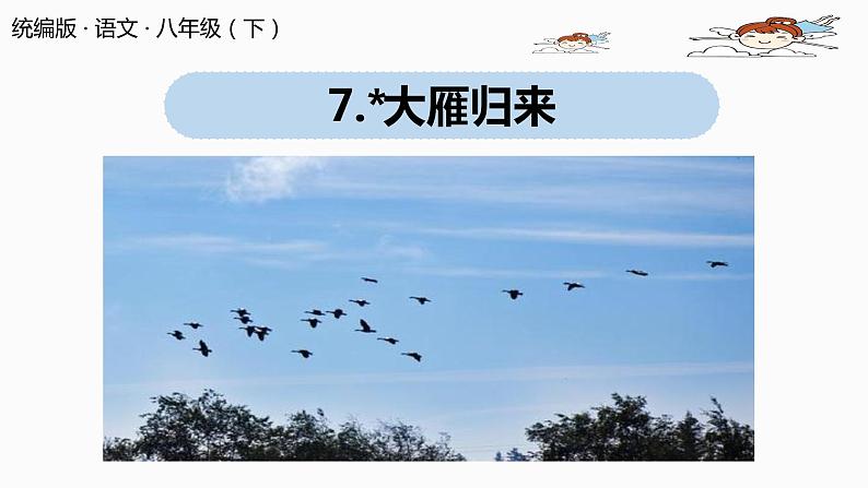 部编版八年级语文下册 第2单元 7《大雁归来》(PPT课件+素材）01