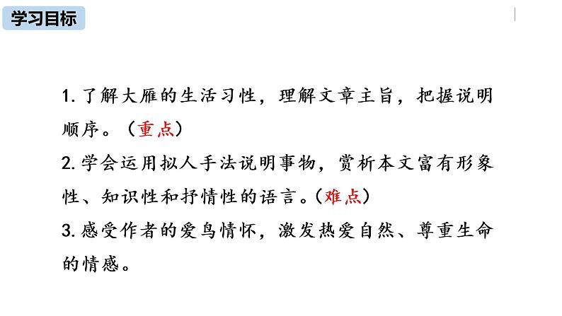 部编版八年级语文下册 第2单元 7《大雁归来》(PPT课件+素材）03