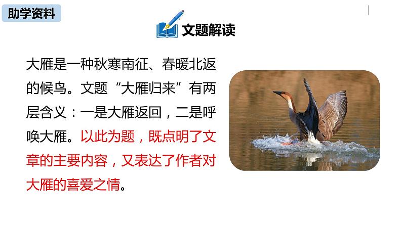 部编版八年级语文下册 第2单元 7《大雁归来》(PPT课件+素材）07