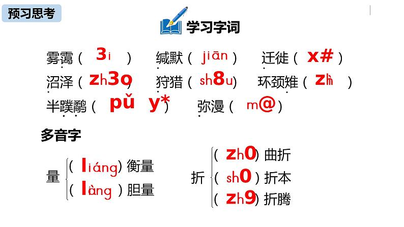 部编版八年级语文下册 第2单元 7《大雁归来》(PPT课件+素材）08