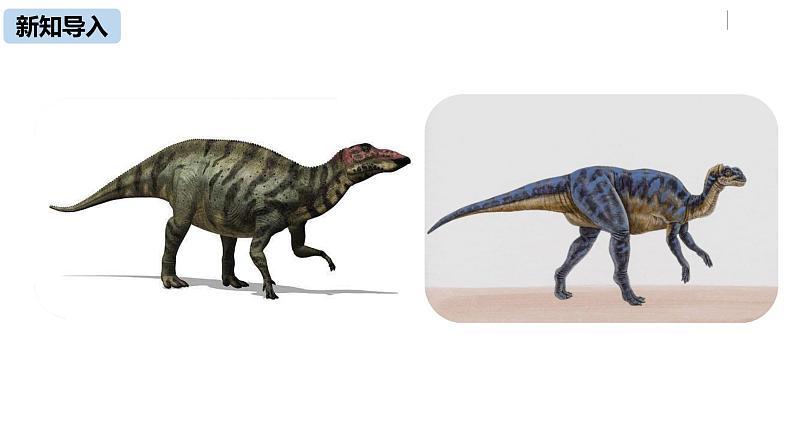 部编版八年级语文下册 第2单元 6《阿西莫夫短文两篇》(PPT课件+素材）04