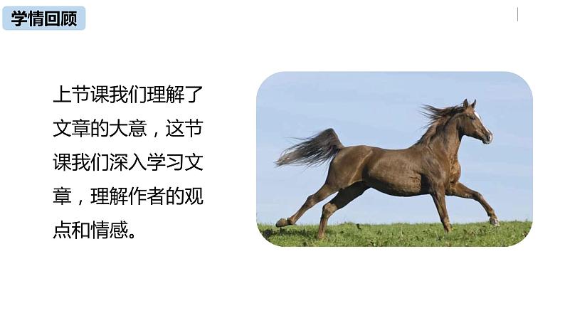 语文八（下）第6单元 23《马说》第2课时第4页