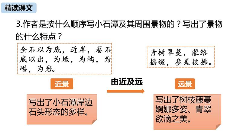 语文八（下）第3单元 10《小石潭记》第2课时第7页