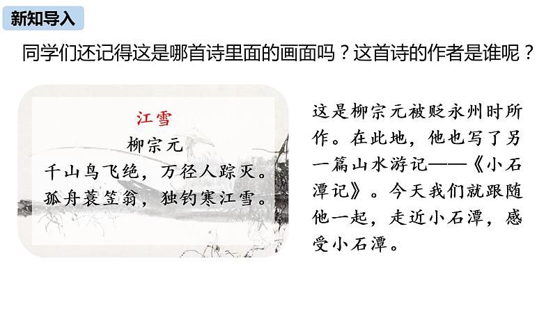 语文八（下）第3单元 10《小石潭记》第1课时第4页