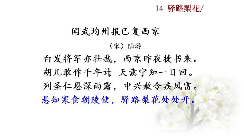 部编版七年级语文下册 4.2  驿路梨花(PPT课件）01
