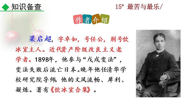 部编版七年级语文下册 4.3 最苦与最乐(PPT课件）04