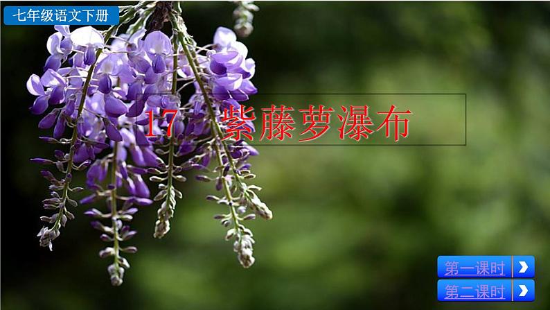 部编版七年级语文下册 5.1 紫藤萝瀑布(PPT课件）02