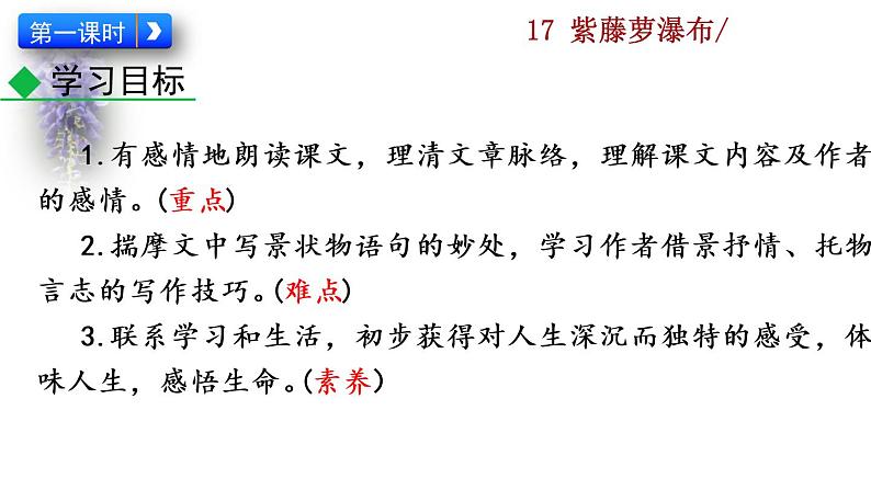 部编版七年级语文下册 5.1 紫藤萝瀑布(PPT课件）03