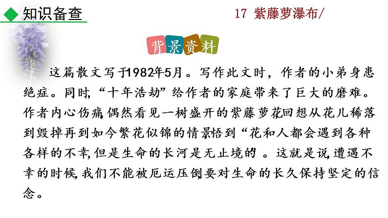 部编版七年级语文下册 5.1 紫藤萝瀑布(PPT课件）05