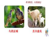 部編版七年級語文下冊 4.6 綜合性學(xué)習(xí)  孝親敬老(PPT課件）