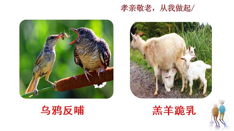 部编版七年级语文下册 4.6 综合性学习  孝亲敬老(PPT课件）02