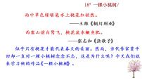 初中语文人教部编版七年级下册18*一棵小桃树优秀课件ppt