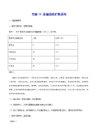 2021中考语文专项复习卷：专题19 压缩语段扩展语句 （含原卷及解析卷）