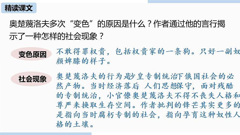 人教部编版九年级语文下 2.2 变色龙（PPT课件+素材）07