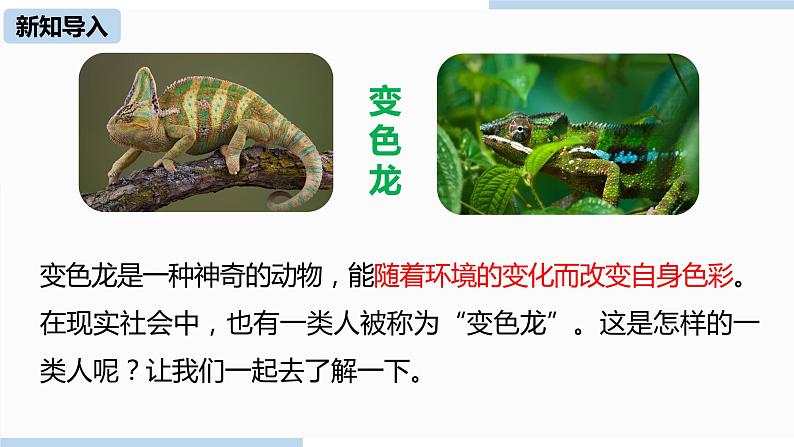 人教部编版九年级语文下 2.2 变色龙（PPT课件+素材）03