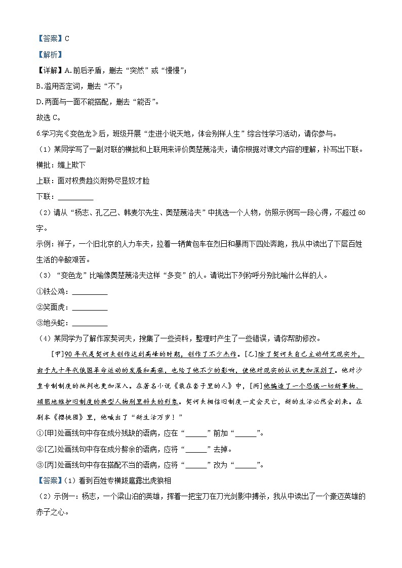 精品解析：2019-2020学年部编版九年级语文下册同步轻松备课系列精品-专题06 《变色龙》同步练习（解析版）第3页