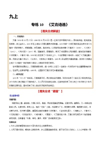 2021年中考语文名著导读专练10 九上《艾青诗选》（通用版）