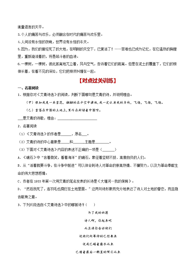 2021年中考语文名著导读专练10 九上《艾青诗选》（通用版）02