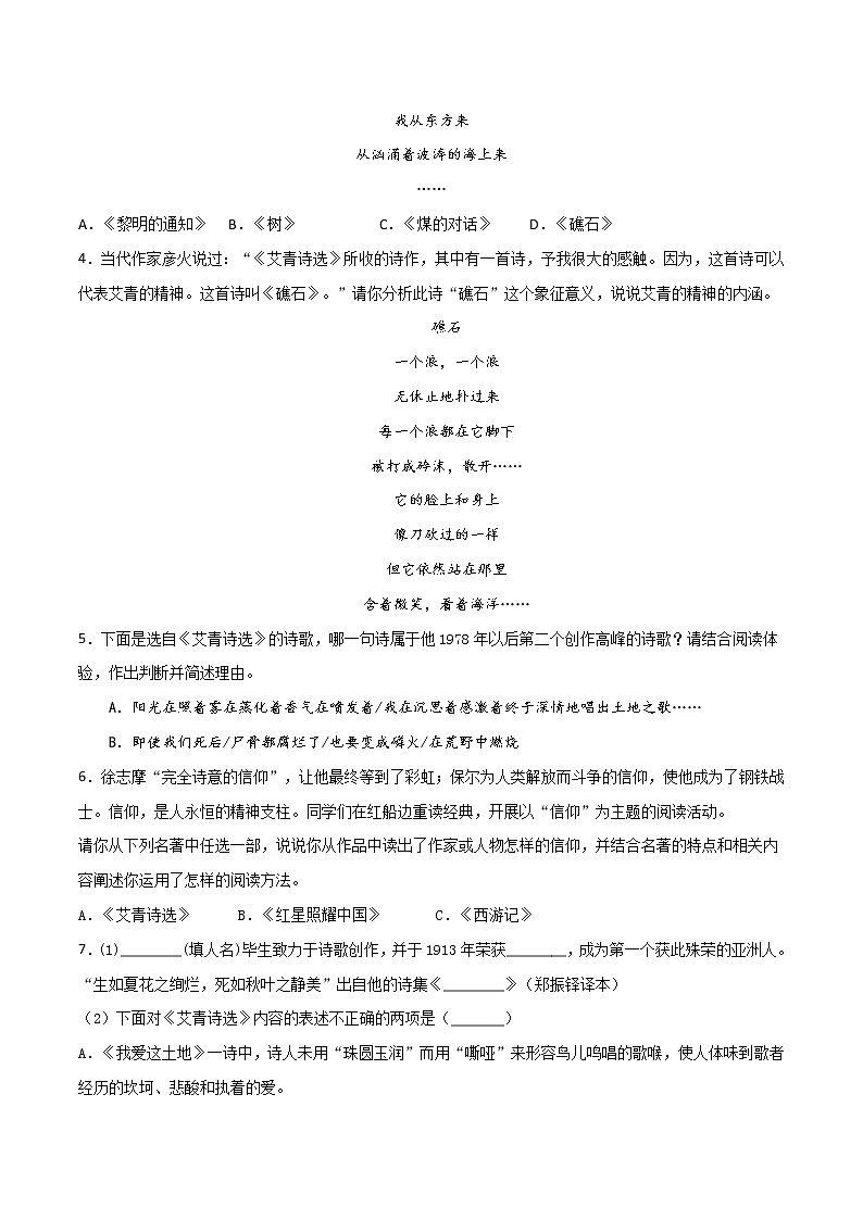 2021年中考语文名著导读专练10 九上《艾青诗选》（通用版）03