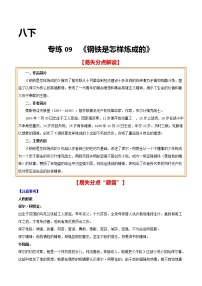 2021年中考语文名著导读专练09 八下《钢铁是怎样炼成的》（通用版）
