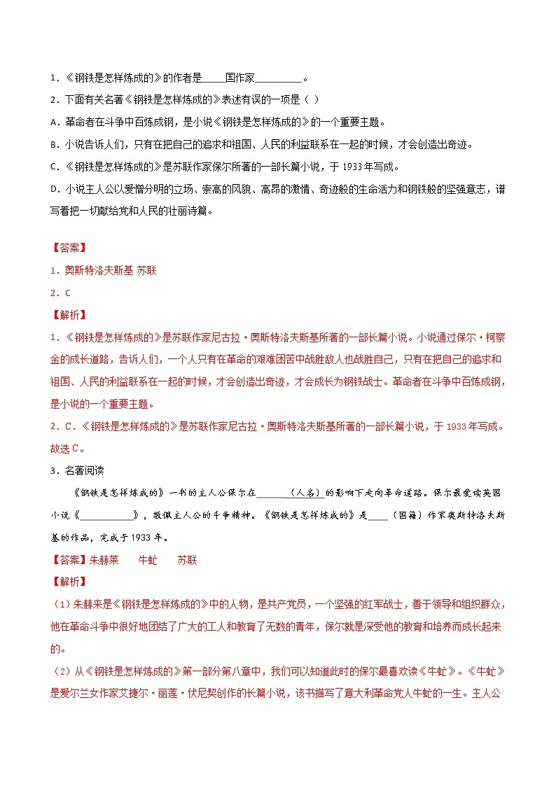 2021年中考语文名著导读专练09 八下《钢铁是怎样炼成的》（通用版）03