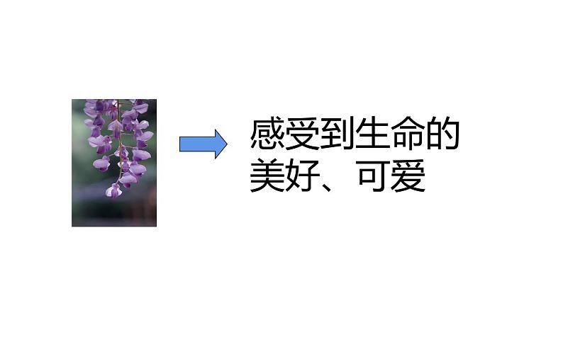 《紫藤萝瀑布》教师课件第8页