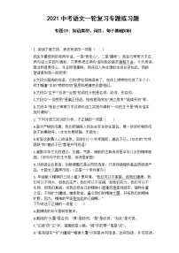 中考语文 专题05：短语类型、词性、句子基础知识 专项练习卷（含答案）