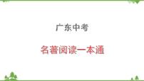 中考语文专项复习名著阅读《简·爱》 人生追求的二重奏 讲练课件
