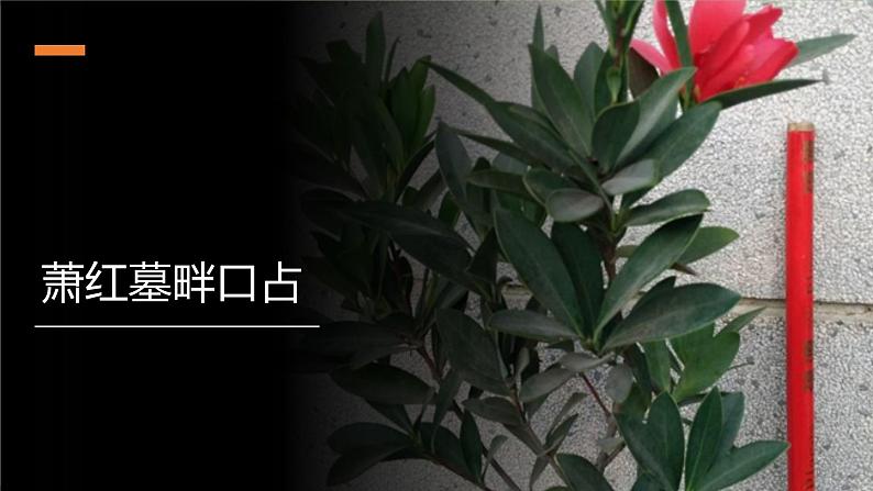 03《短诗五首》 -2021学年部编版九年级语文下册同步（课件+教案）08