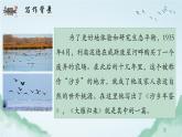 2020-2021学年部编版语文八年级下册第二单元第7课《大雁归来》课件