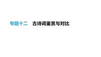 浙江省2019年中考语文总复习第三部分古诗文阅读专题12古诗词鉴赏与对比课件新人教版20190122353