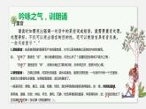《春》精读课件