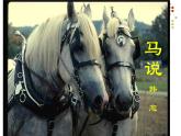 《马说》自主学习课件