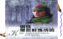 初中语文人教部编版八年级下册名著导读 《钢铁是怎样炼成的》：摘抄和做笔记优秀ppt课件