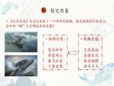 《北冥有鱼》探究“鹏”的形象从而理解文章寓意 课件