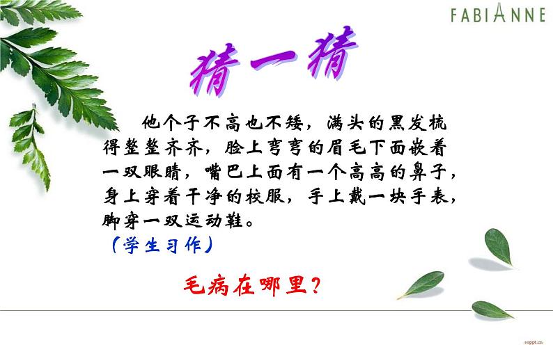 用好描写方法塑造鲜活人物课件第4页