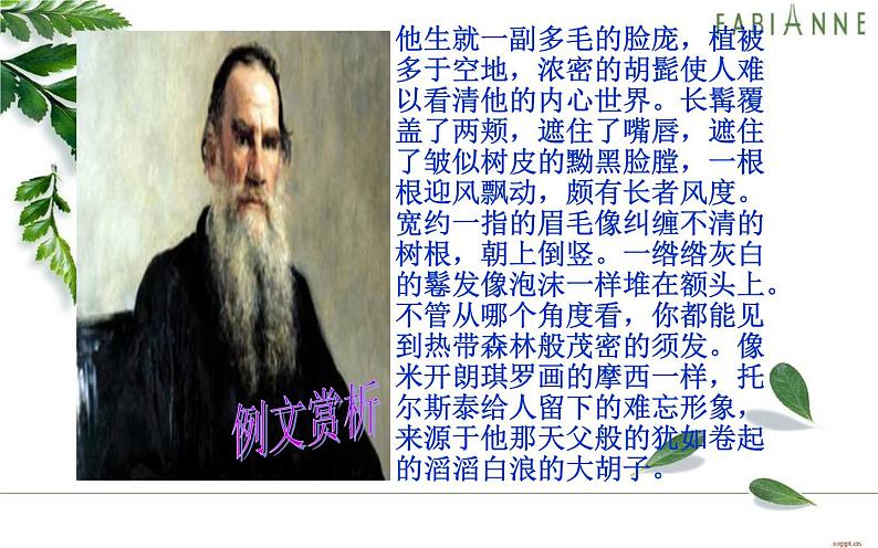 用好描写方法塑造鲜活人物课件第5页