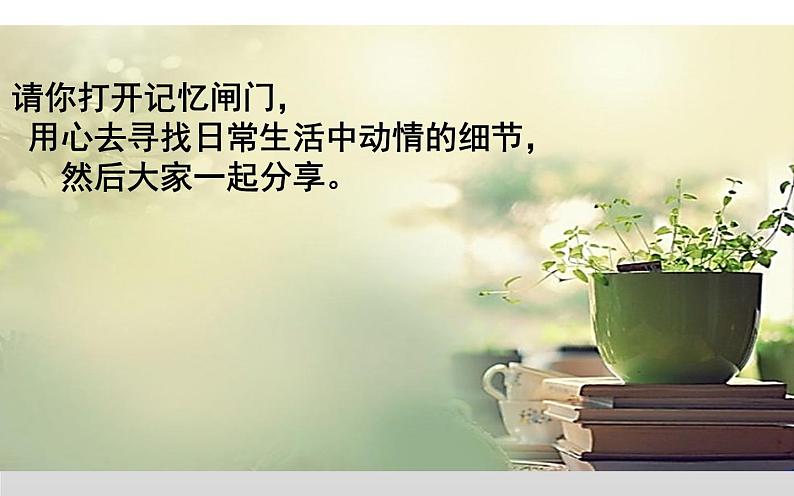 《写作——抓住细节》教学课件07