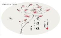 人教部编版七年级下册爱莲说获奖课件ppt