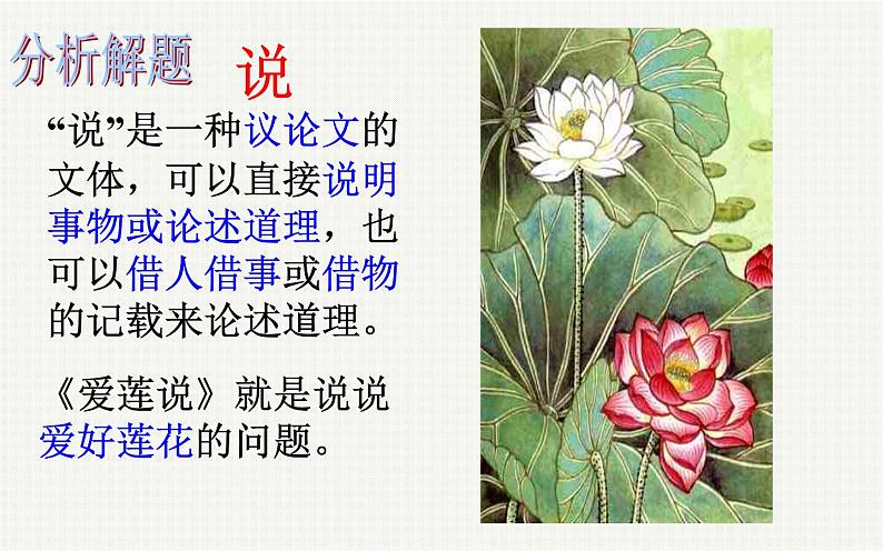 《爱莲说》优课教学课件03