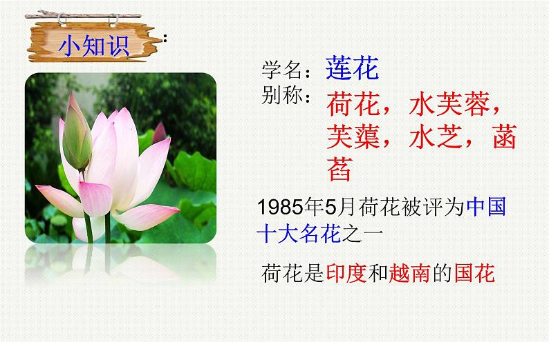 《爱莲说》优课教学课件07