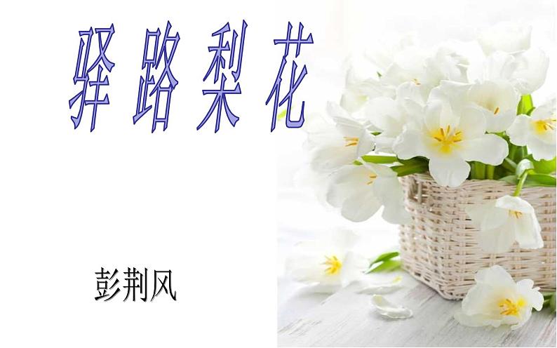 《驿路梨花》公开课课件第6页