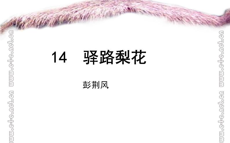 《驿路梨花》公开课教学课件第1页