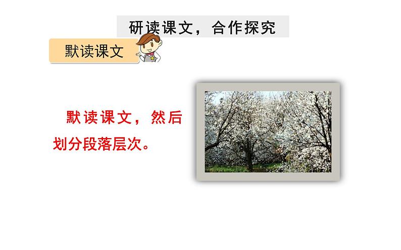 《驿路梨花》公开课教学课件第8页