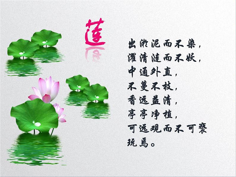 《爱莲说》之托物言志教学课件07